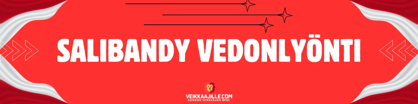 Salibandy vedonlyönti